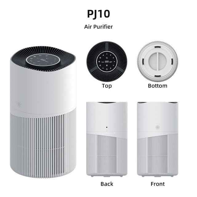 Intelligent Negative Ion Pet Air Purifier